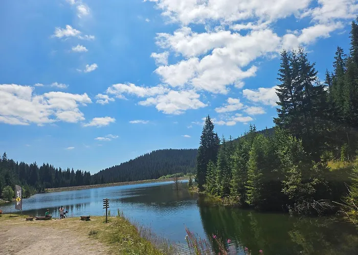 Appartamento превъзходен на пистата и гледка към планините - къщата на мечтите - Pamporovo